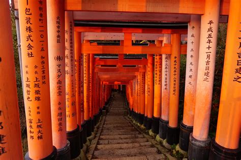 箱根神社在哪個城市，如果神社的鳥居能說話，它會告訴你什麼秘密？